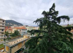 VISTA 2 OK