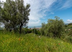 villa Cogorno_-53