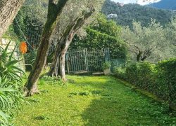 20250214_102821_resized