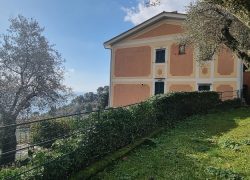 20250214_102857_resized_1