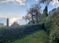 20250214_103449_resized