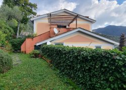 20250214_103511_resized