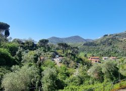 20250410_120839_resized