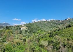 20250410_120857_resized