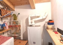 20250410_121135_resized