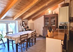 20250410_121205_resized