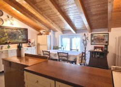 20250410_121218_resized