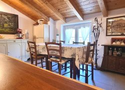 20250410_121234_resized