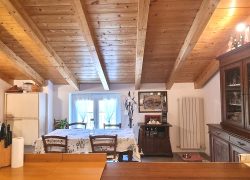 20250410_121246_resized