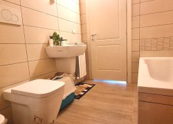 20250410_121631_resized