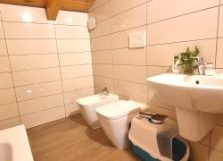 20250410_121639_resized