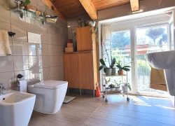 20250410_121706_resized