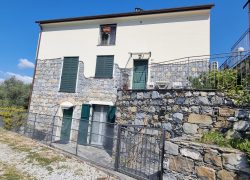 20250410_122221_resized