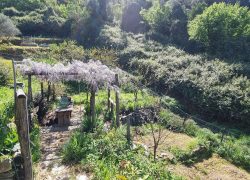 20250410_122311_resized