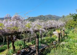 20250410_122336_resized