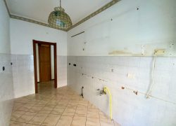 IMG-5773