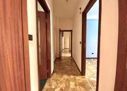 IMG-5774