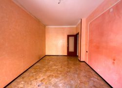 IMG-5777