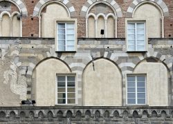 IMG_7571