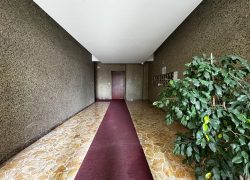 IMG_9960