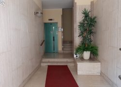 INGRESSO
