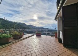 terrazza
